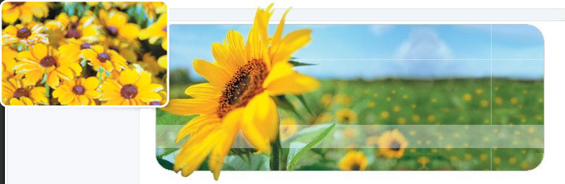 Header Graphic